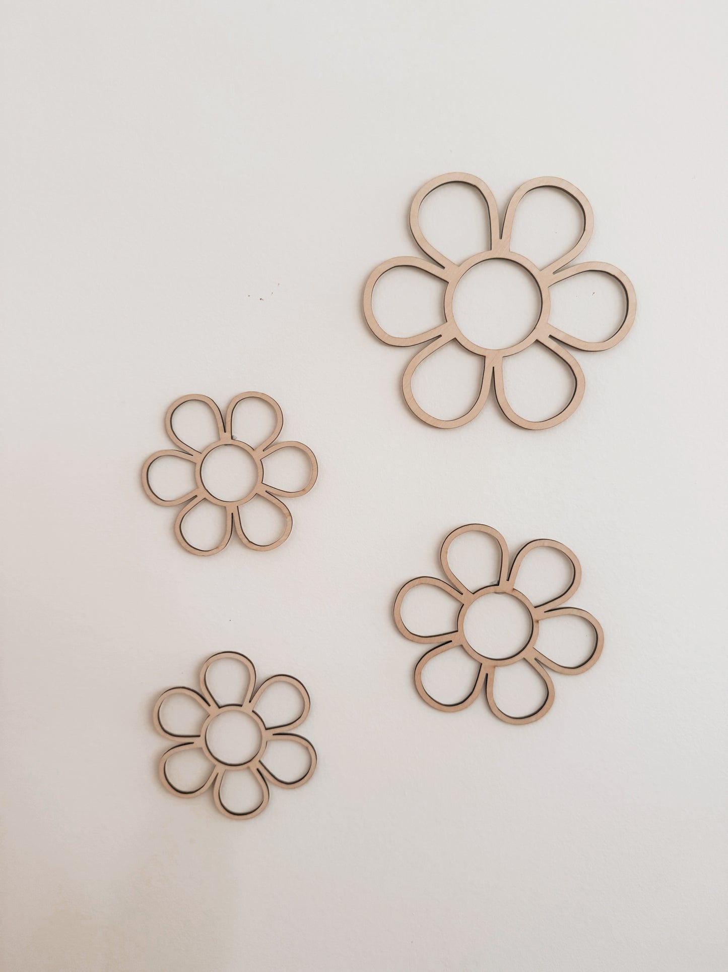 Daisy Pack of 4