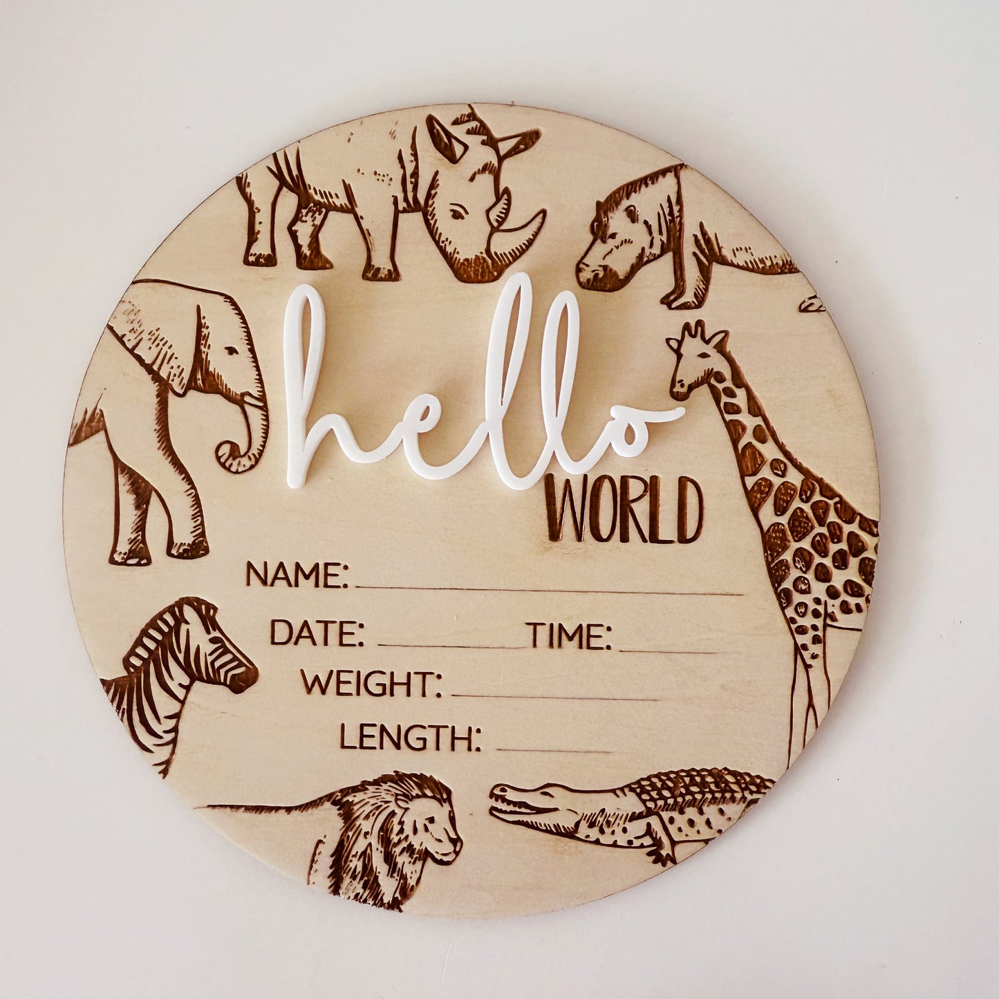 Hello World Safari