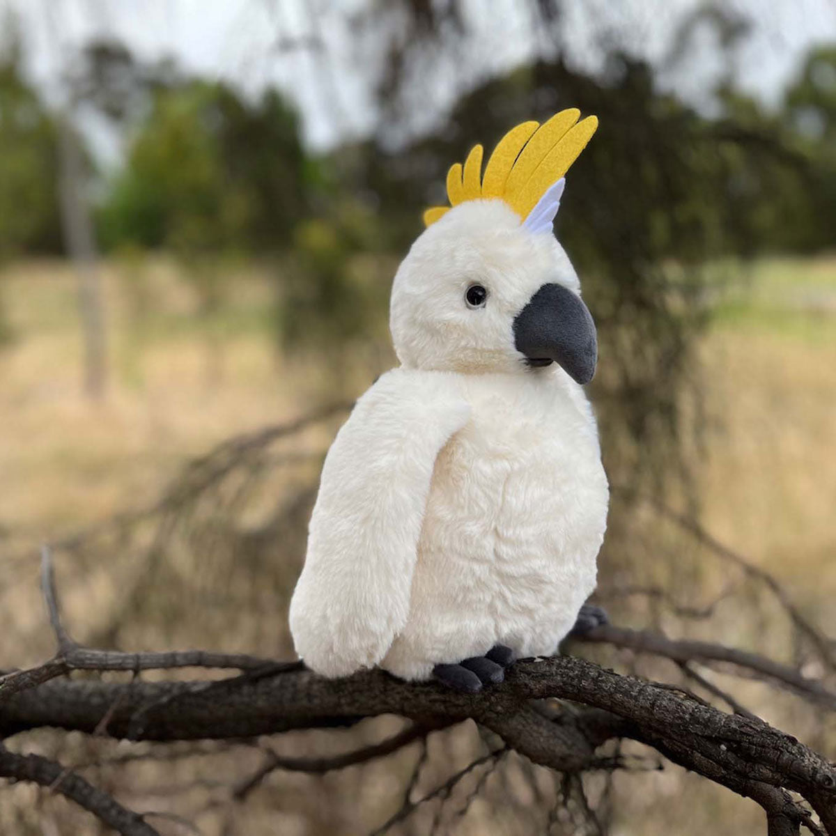 Cockatoo - Timber Tinkers