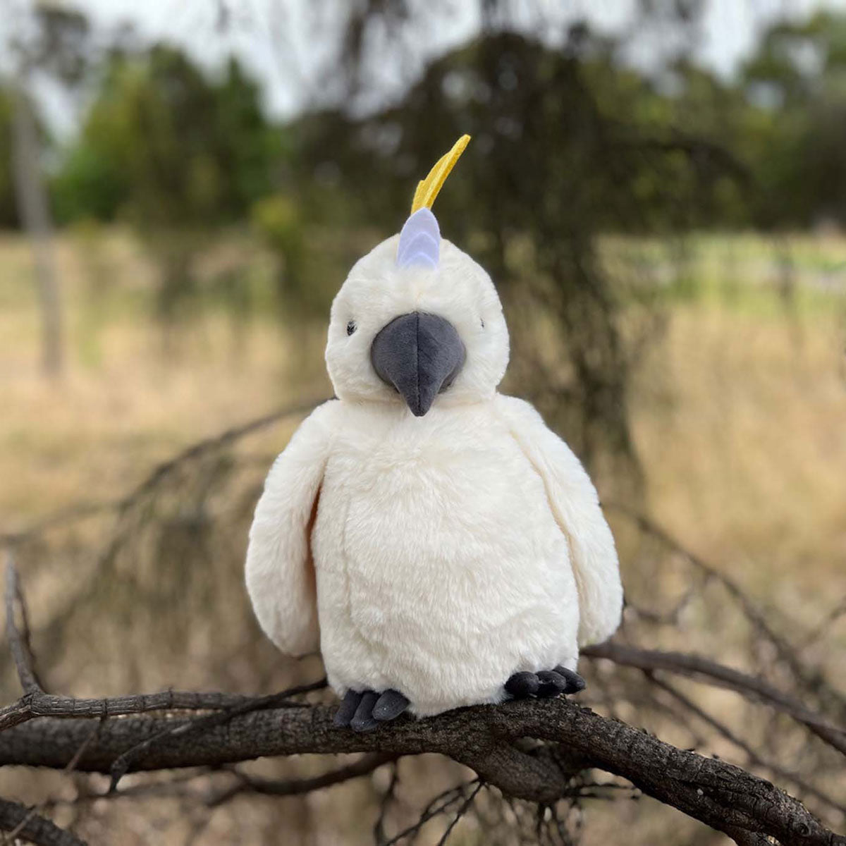 Cockatoo - Timber Tinkers