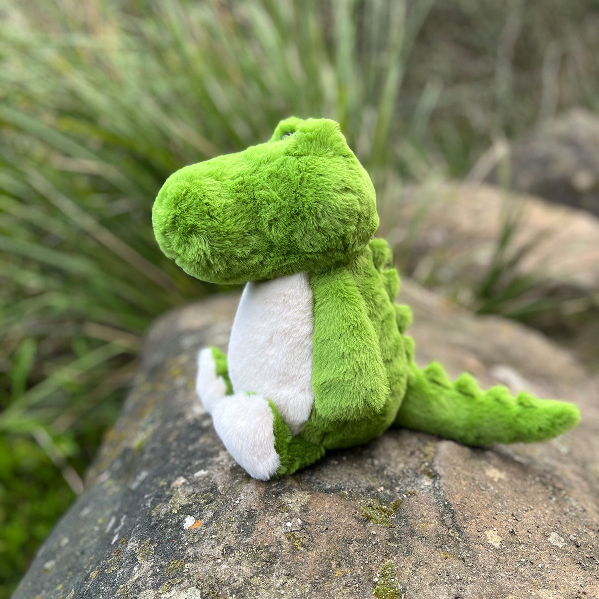 Crocodile - Timber Tinkers