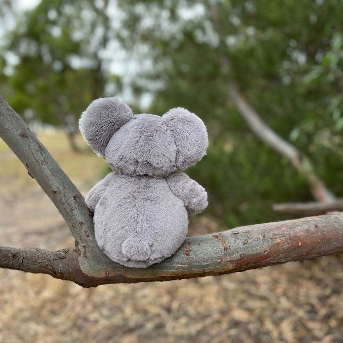 Koala - Timber Tinkers