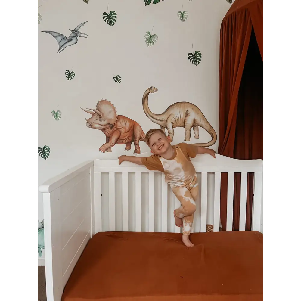 Dinosaurs Wall Decals - Timber Tinkers
