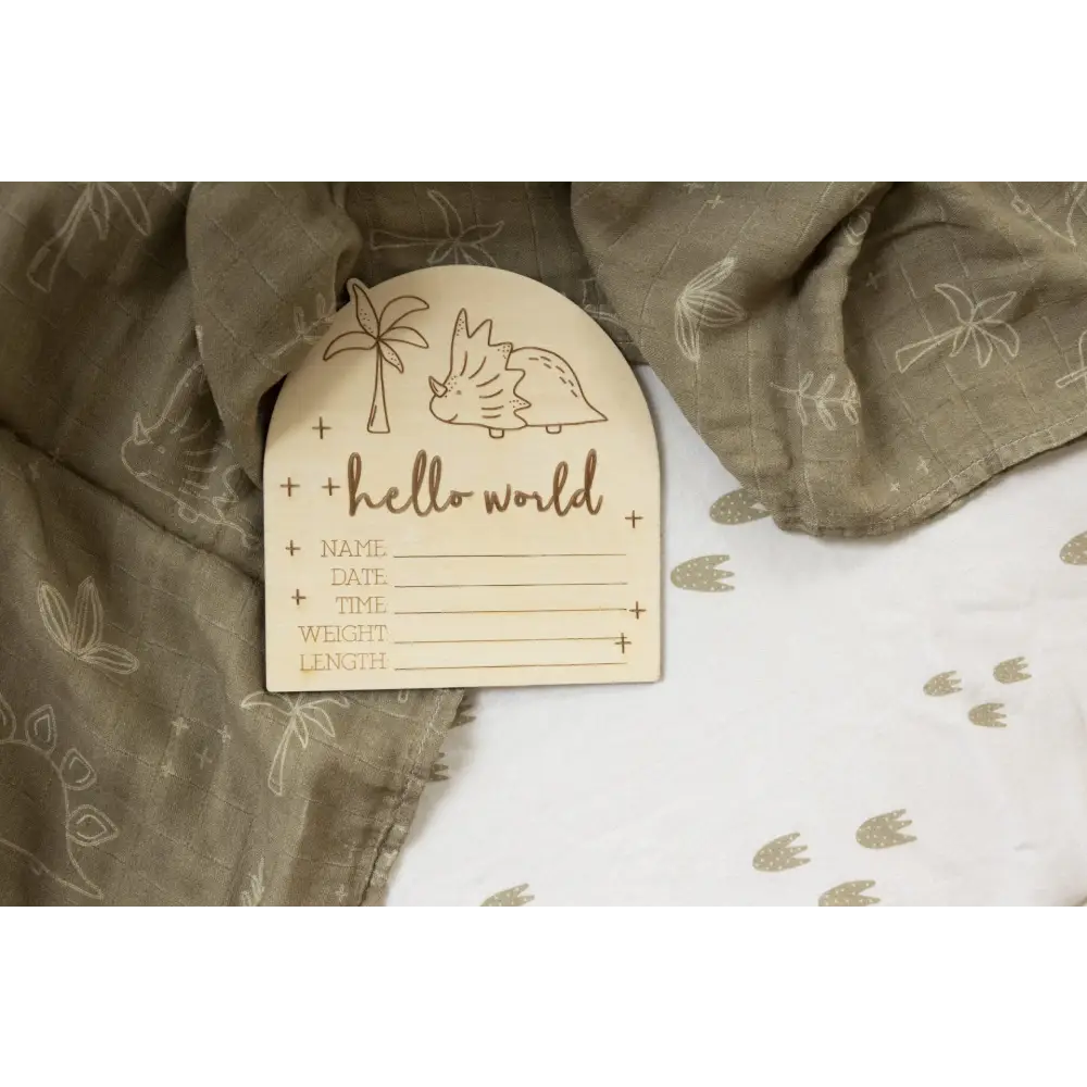 Hello World Dino Birth Disc - Timber Tinkers