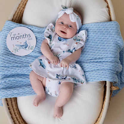 Ocean & Indigo Reversible Milestone Cards