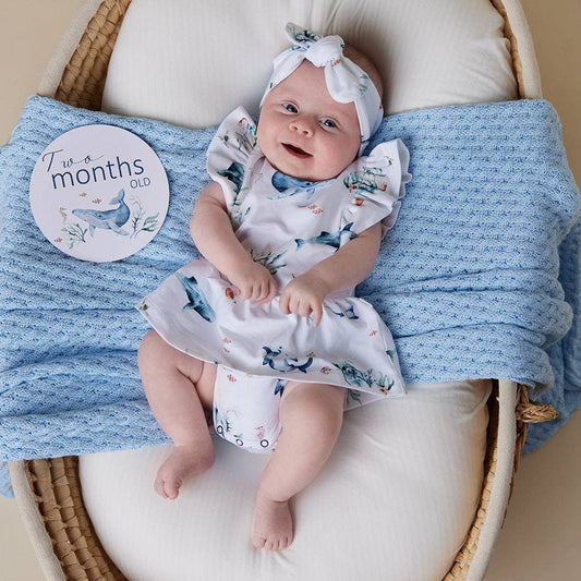 Ocean & Indigo Reversible Milestone Cards