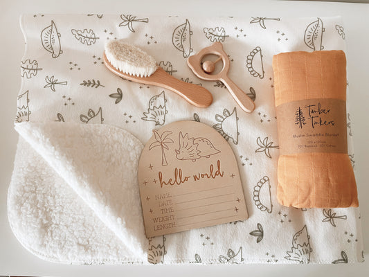 Large Baby Gift Box - Dino