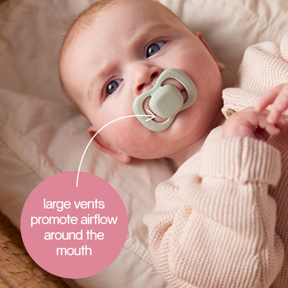 pacifier twin pack - berry + blush