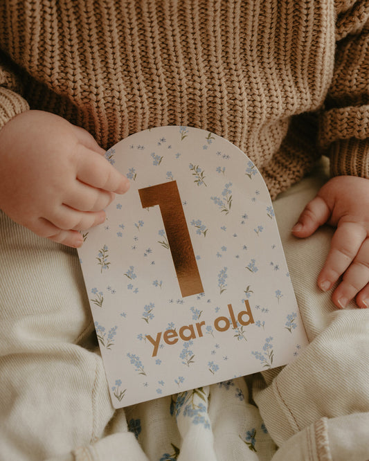 Baby Milestone Cards Broderie