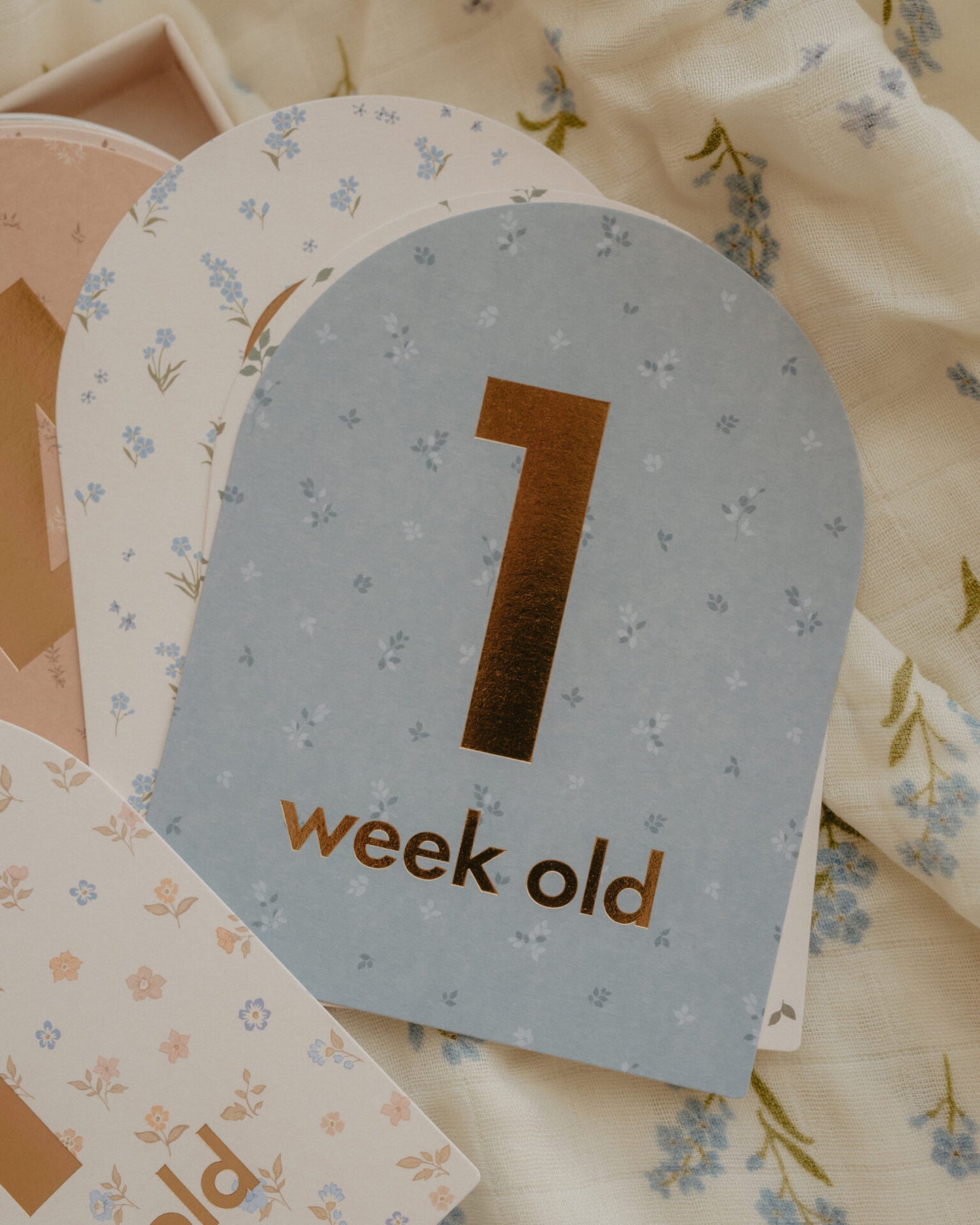 Baby Milestone Cards Broderie