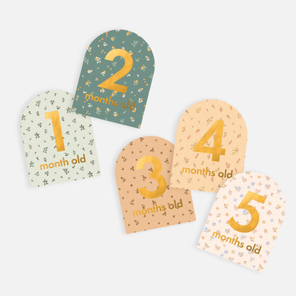 Baby Milestone Cards Broderie