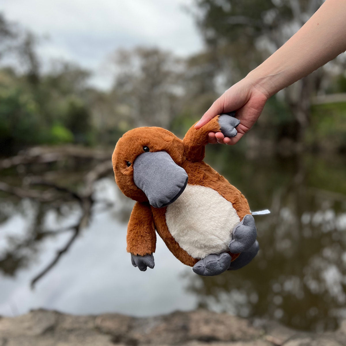 Platypus - Timber Tinkers