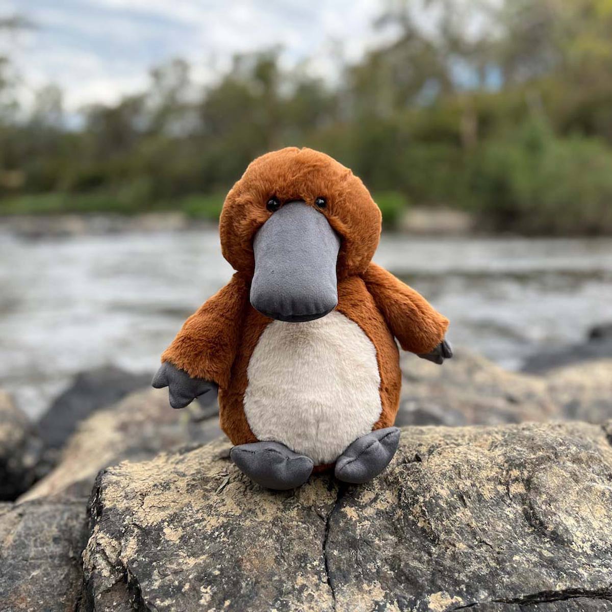 Platypus - Timber Tinkers
