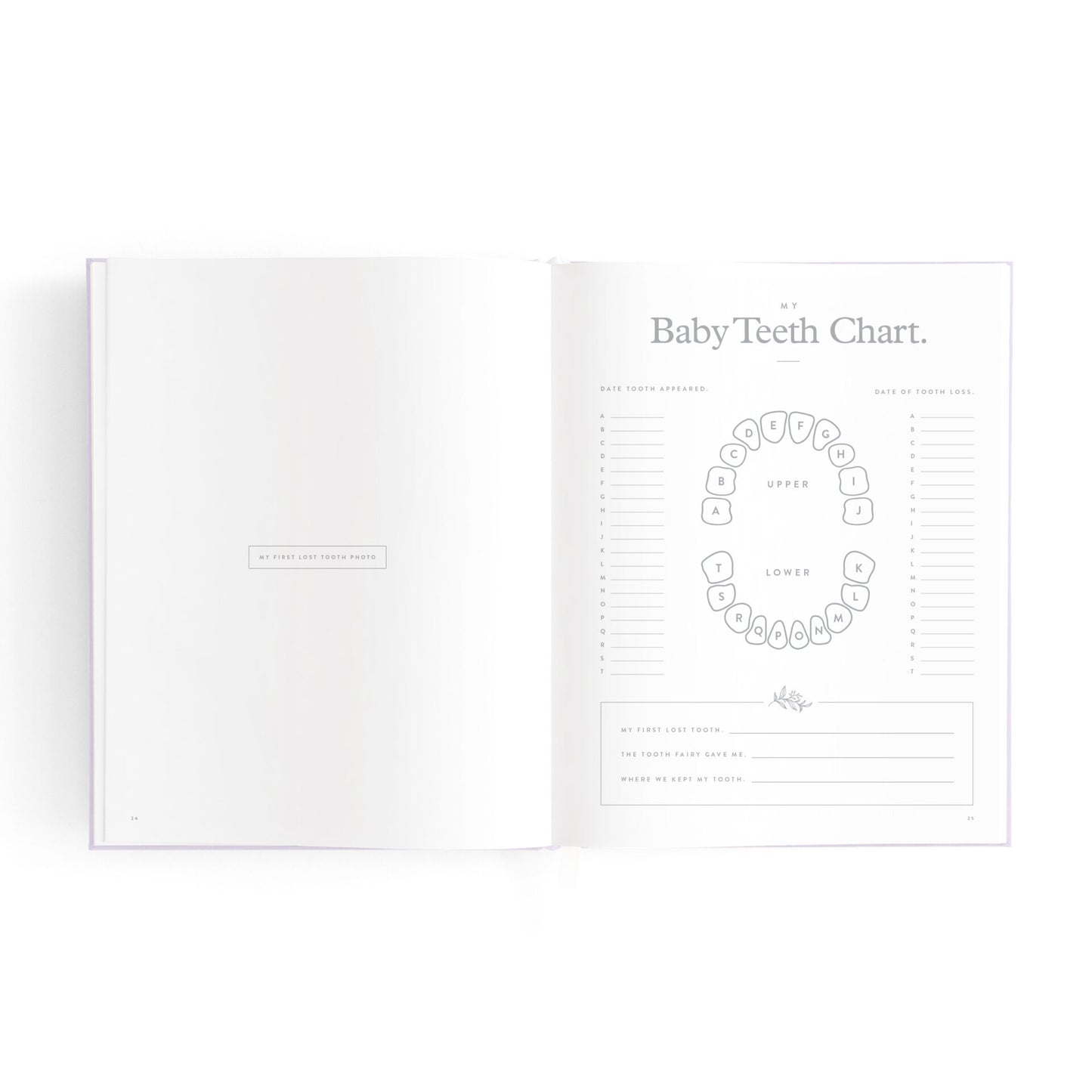 Fox & Fallow Baby Book Biscuit