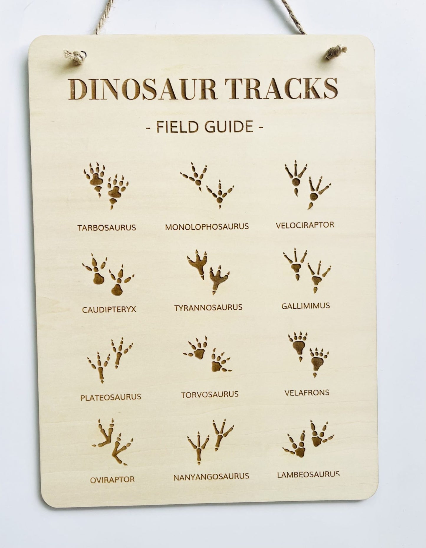 Dino Tracks Sign