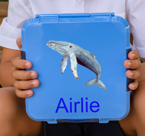 Personalised Blue Lunch Box - Multiple Designs