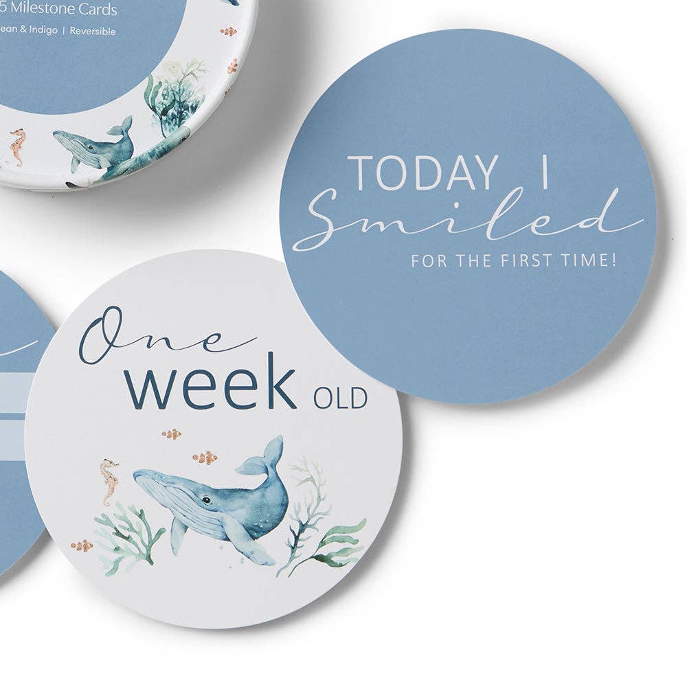 Ocean & Indigo Reversible Milestone Cards