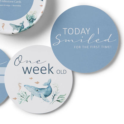 Ocean & Indigo Reversible Milestone Cards