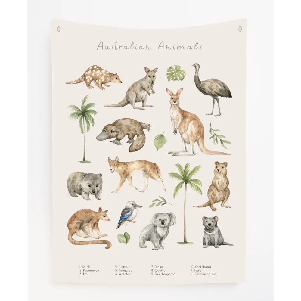 Australian Animals Canvas Wall Hang