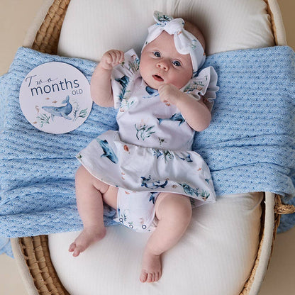 Ocean & Indigo Reversible Milestone Cards