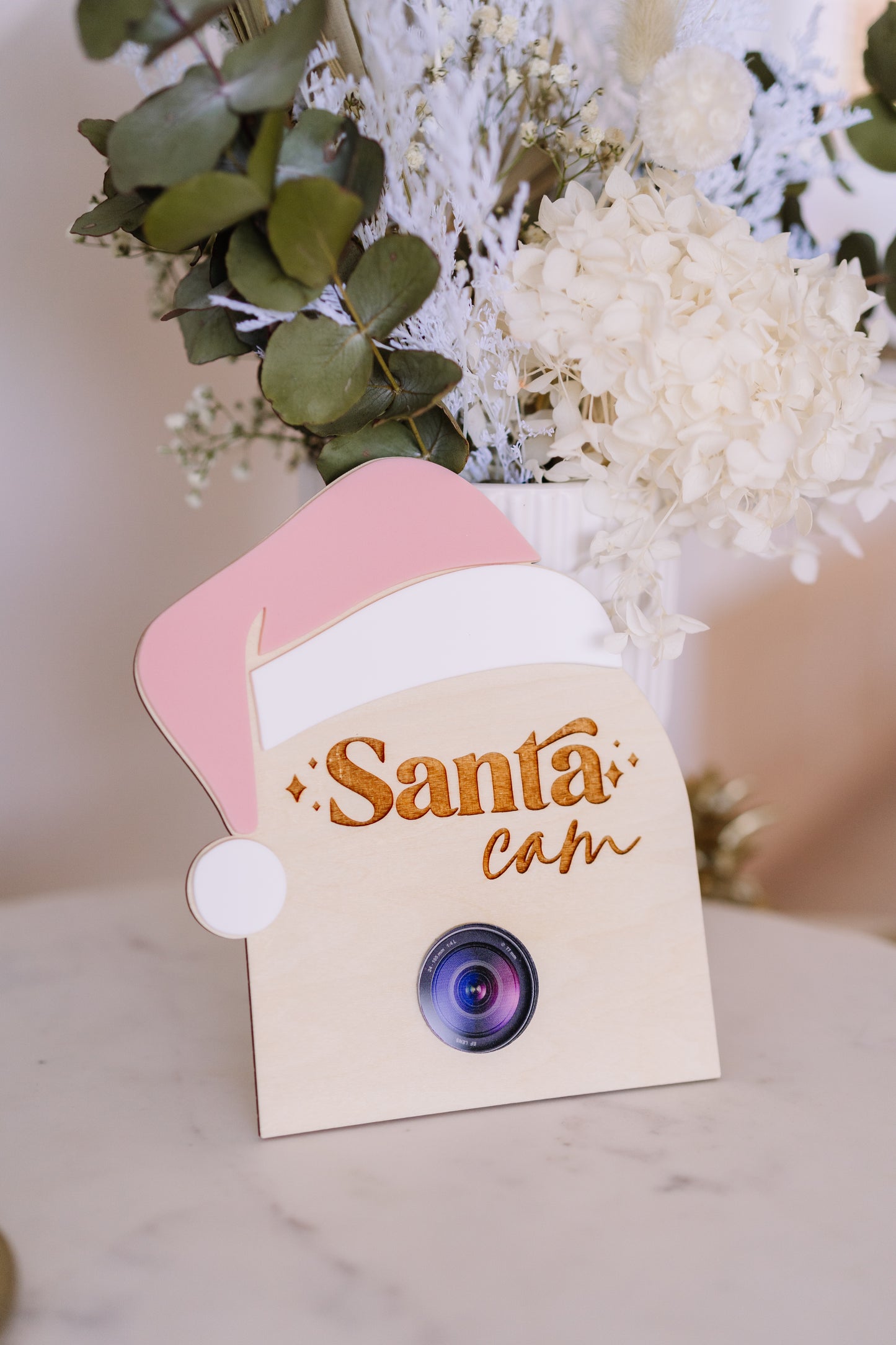 Santa Cam