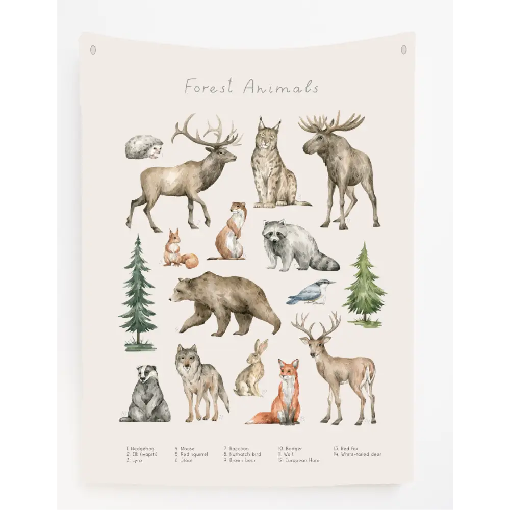 Forest Animals Canvas Wall Hang - Timber Tinkers