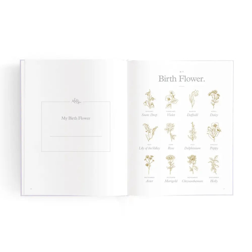 Fox & Fallow Baby Book Blue Check