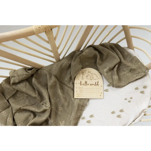Hello World Dino Birth Disc - Timber Tinkers