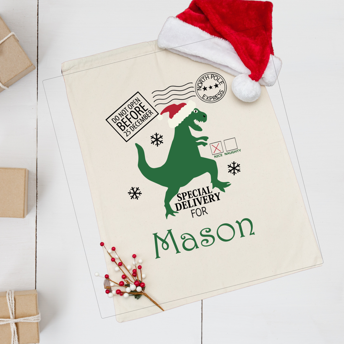 Santa Sack - Dino