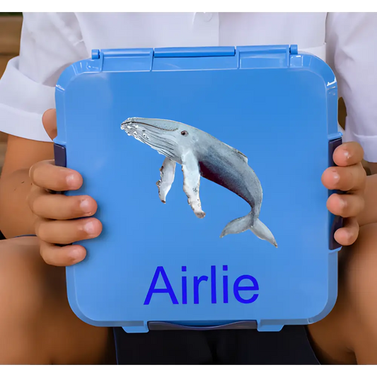 Personalised Blue Lunch Box - Whale - Timber Tinkers
