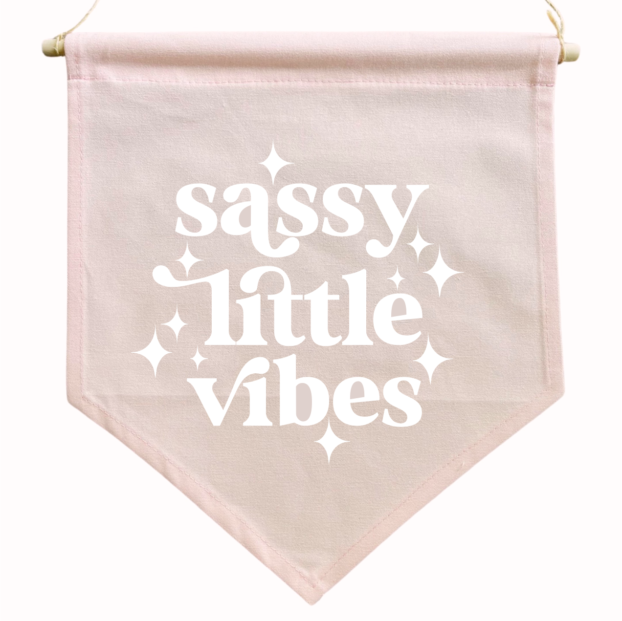 SASSY LITTLE VIBES PINK Flag